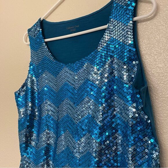 Coldwater Creek aqua teal blue allover sequin chevron art deco glam blouse  L 14 - Picture 2 of 9